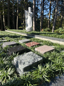 C90FA0EC-CF74-4678-A0E9-3ABD26BE271E